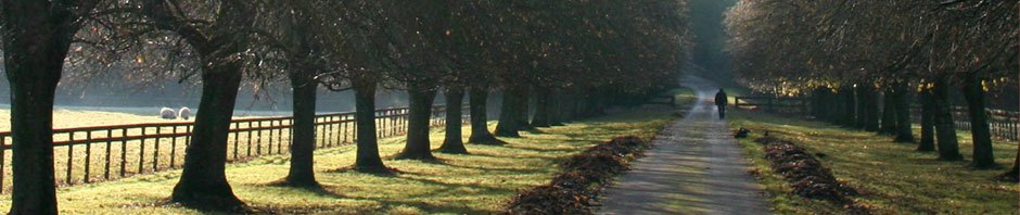 Malford Court Leaseholders Association